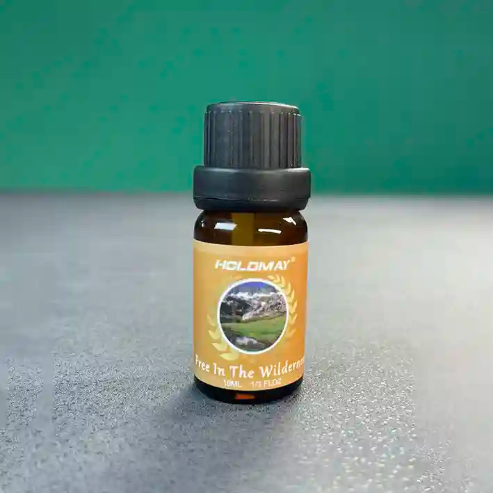اسانس خوشبو کننده بخور سرد HOLDMAY - 10ml