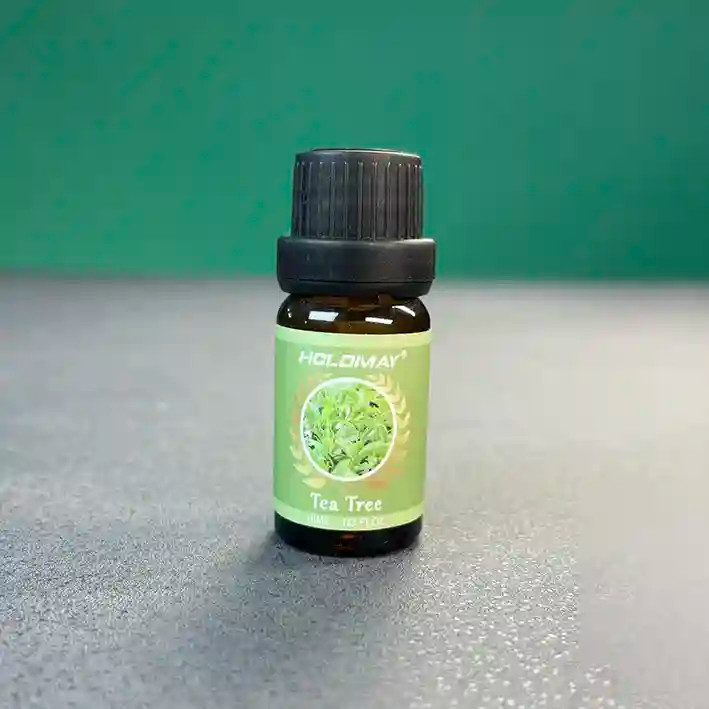 اسانس خوشبو کننده بخور سرد HOLDMAY - 10ml