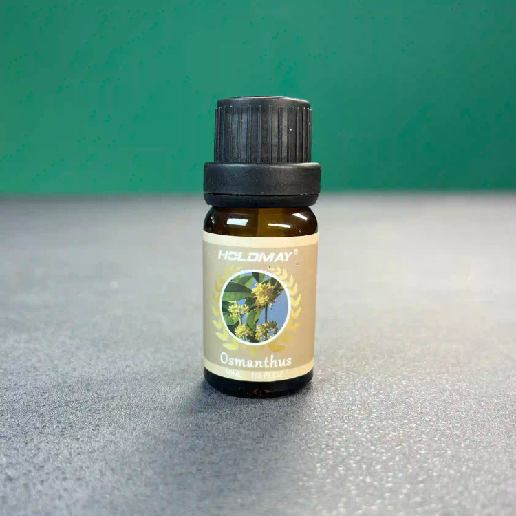 اسانس خوشبو کننده بخور سرد HOLDMAY - 10ml
