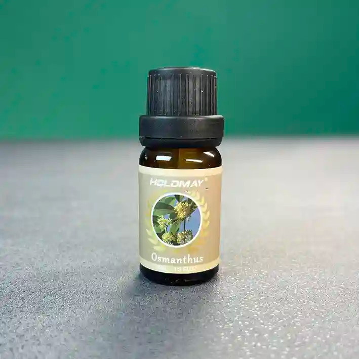 اسانس خوشبو کننده بخور سرد HOLDMAY - 10ml