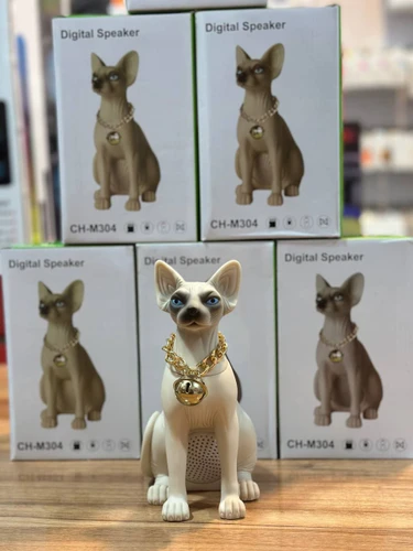 اسپیکر بلوتوثی فانتزی مدل Ch-m304 speaker